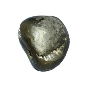 Very Rare Laxmi Narayan Shaligram 100% Genuine – 209 Gram (Lakshmi narayan) - Image 2