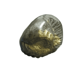 Very Rare Laxmi Narayan Shaligram 100% Genuine – 295Gram (Lakshmi narayan) - Image 4