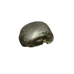 Very Rare Laxmi Narayan Shaligram 100% Genuine – 232Gram (Lakshmi narayan) - Image 3