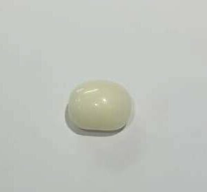 White Coral Stone (Moonga) Lab Certified & Abhimantrit -6.25 Carat - Image 1