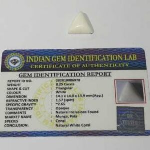 Triangle White Coral Stone (Moonga) Lab Certified & Abhimantrit  8.25 Carat - Image 4
