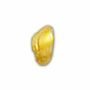 Natural Golden White Shukra Mani Abhimantrit & Certified - Image 2