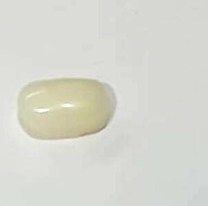 White Coral Stone (Moonga) Lab Certified & Abhimantrit 5.25 Carat - Image 2