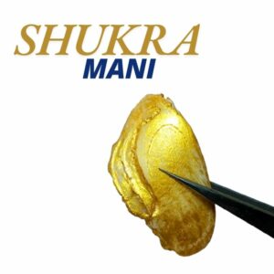 Natural Golden White Shukra Mani Abhimantrit & Certified - Image 1