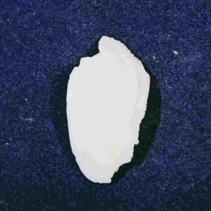 Abhimantrit Natural Shukra Mani & Lab Certified - 21 Carat - Image 2