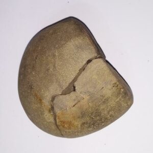 Very Rare Laxmi Narayan Shaligram 100% Genuine – 240 Gram (Lakshmi narayan) - Image 2