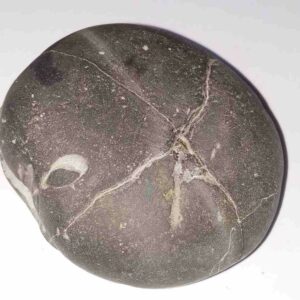 Very Rare Laxmi Narayan Shaligram 100% Genuine – 157 Gram (Lakshmi narayan) - Image 2