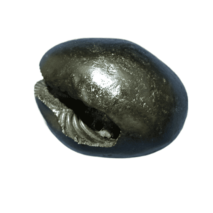 Very Rare Laxmi Narayan Shaligram 100% Genuine – 159 Gram (Lakshmi narayan) - Image 4