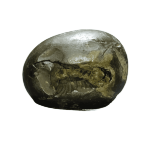 Very Rare Laxmi Narayan Shaligram 100% Genuine – 302Gram (Lakshmi narayan) - Image 1