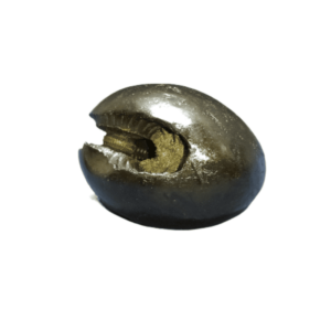 Very Rare Laxmi Narayan Shaligram 100% Genuine – 159 Gram (Lakshmi narayan) - Image 5