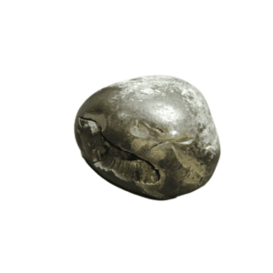 Very Rare Laxmi Narayan Shaligram 100% Genuine – 302Gram (Lakshmi narayan) - Image 5