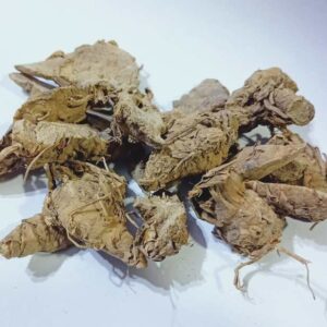 Natural Dry Kaali Haldi // Black Turmeric Abhimantrit (3 Pieces) - Image 1