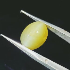 Certified Cat’s Eye Stone (Lehsunia) & Abhimantrit– 7.25 Carat - Image 7