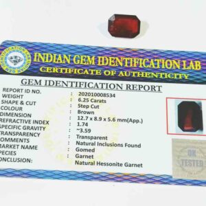 Abhimantrit Hessonite (Gomed) Square Shape Stone 6.25 Carat - Image 6