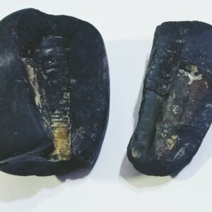 Shivlingam Golden Shaligram Natural 100% Genuine – 291 Gram - Image 2