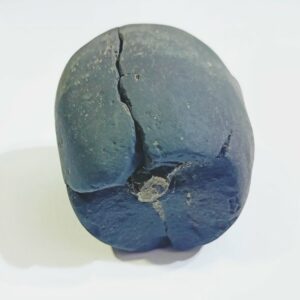 Shivlingam Golden Shaligram Natural 100% Genuine – 291 Gram - Image 6