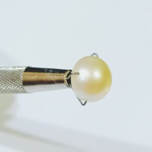 Abhimantrit Natural Pearl (Moti) Stone 7.25 Carat - Image 4
