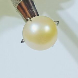 Abhimantrit Natural Pearl (Moti) Stone 7.25 Carat - Image 3