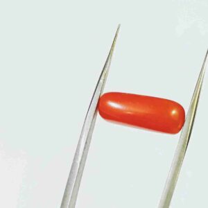 Natural Red Coral Stone Lab-Certified & Abhimantrit 7.25 Carat - Image 5