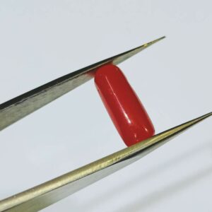 Abhimantrit Natural Red Coral (Moonga Stone) 8.25 Carat - Image 3