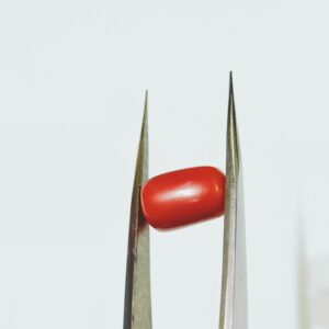 Abhimantrit Red Coral Stone & Lab-Certified  7.25 Carat - Image 5
