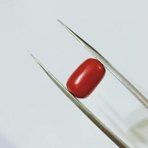 Abhimantrit Natural Red Coral/ Moonga Stone 8.25 Carat - Image 4