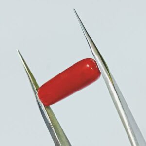 Lab-Certified Natural Red Coral/ Moonga Stone & Abhimantrit 6.25 Carat - Image 5