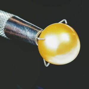 Abhimantrit Natural Yellow Pearl (Moti) Stone & Lab Certified- 9 Carat - Image 3