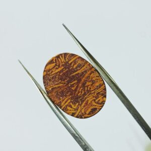 Abhimantrit Mahe Marium Stone & Lab- Certified 11.50 Carat - Image 5