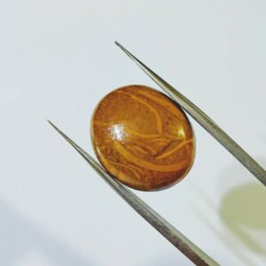 Abhimantrit Mahe Marium Stone & Lab- Certified 15.25 Carat - Image 5