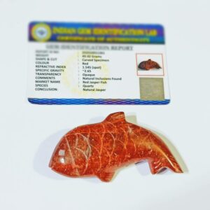 Red Jasper Fish (1 Piece) Lab-Certified & Abhimantrit - Image 1