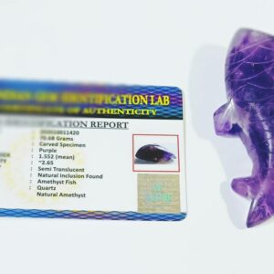 Amethyst Fish (1 Piece) Lab-Certified & Abhimantrit - Image 3