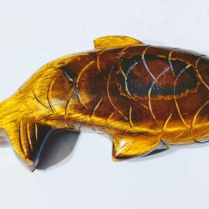 Tiger Eye Fish  Lab-Certified & Abhimantrit - Image 5