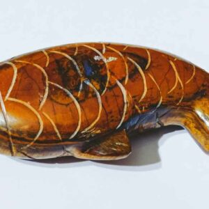 Tiger Eye Fish  Lab-Certified & Abhimantrit - Image 4