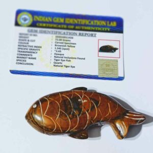 Tiger Eye Fish  Lab-Certified & Abhimantrit - Image 2
