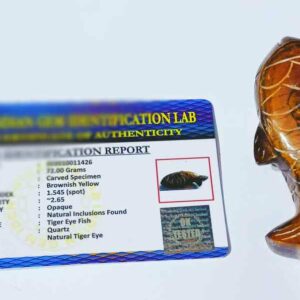Tiger Eye Fish  Lab-Certified & Abhimantrit - Image 3