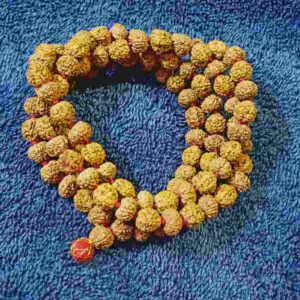 Combination of Original 6 & 7 Mukhi Rudraksha Mala - Certified & Natural - Image 2