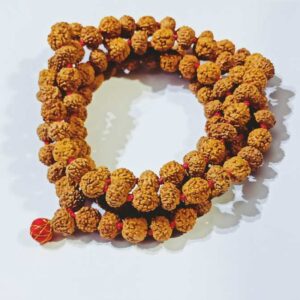 Combination of Original 6 & 7 Mukhi Rudraksha Mala - Certified & Natural - Image 4