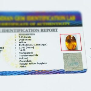 Abhimantrit Yellow Sapphire (Pukhraj) & Certified 7.25 Carat Origin Tested - Image 2