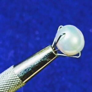 Abhimantrit  South Sea Pearl (Moti) 5.25 Carat & Certified - Image 4