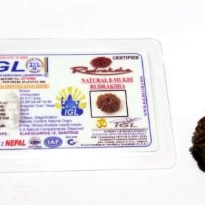 Natural 8 Mukhi Rudraksha (Nepali) Bead 21 mm - Image 5
