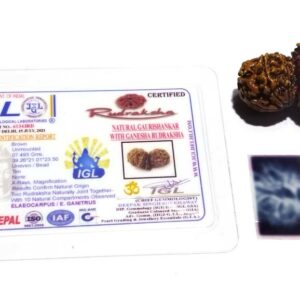 Genuine Ganesh Gauri Shankar Rudraksha 39mm X-ray Report - Image 4