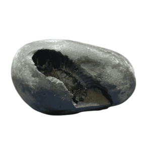 Very Rare Laxmi Narayan Shaligram  393 Gram (Lakshmi narayan) - Image 3
