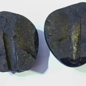 Shivlingam Golden Shaligram 388 Gram - Image 5