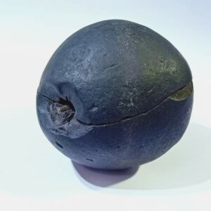 Shivlingam Golden Shaligram 388 Gram - Image 6