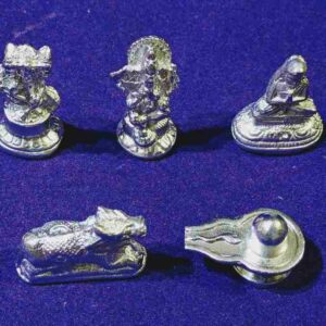 Parad Shiv Parivar 245 Gram - Image 3
