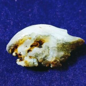 Natural Chandra Mani (Mukta Mani) 30 Carat - Image 3