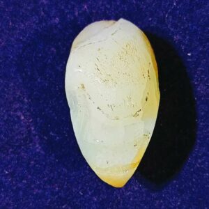 Natural Chandra Mani (Mukta Mani) 30 Carat - Image 6
