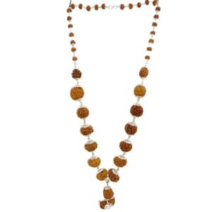 Natural Rudraksha Siddha Mala Certified & Original - Image 1