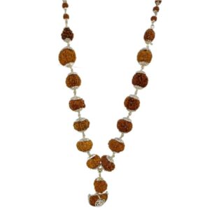 Natural Rudraksha Siddha Mala Certified & Original - Image 3